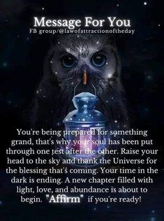 an owl is sitting on top of a blue object with the caption message for you