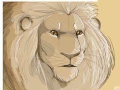 a drawing of a lion's face with the title, how to draw a lion