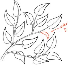 a drawing of leaves on a white background