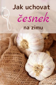 two garlics sitting on top of a burlock with the words jak uchovat cesenek na zmu