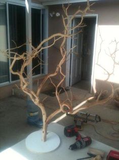 a bare tree sitting in the middle of a room with tools on the floor next to it