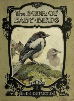 the book of baby - birds by b d detmod is shown in this image