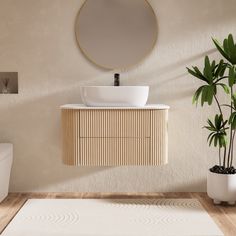 a bathroom with a sink, mirror and potted plant on the floor in front of it