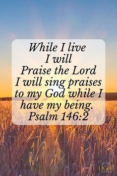 a field with the words while i live i will praise the lord, i will sing praise