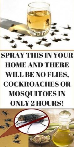 an advertisement for mosquito repellements with the words spray this in your home and there will be no flies, cockroaches or mosquitoes in only 2 hours