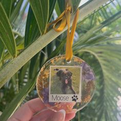 a hand holding a glass ornament with a dog's photo on it