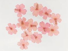 small pink flowers floating in the air on a white surface with no one around them