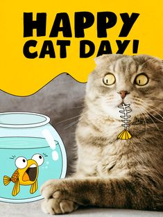 a cat sitting next to a fish bowl with a caption saying happy cat day