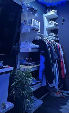 a closet with clothes and shoes hanging on the wall, next to a potted plant