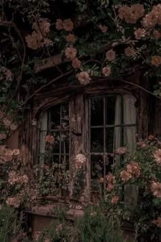 an old window surrounded by vines and flowers