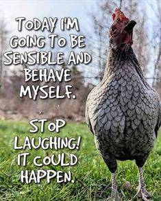 a chicken is standing in the grass with a quote on it's side that says, today i'm going to be senseble and be brave and myself