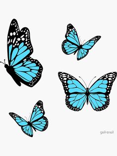 three blue butterflies flying in the sky