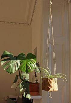 two hanging planters with plants in them