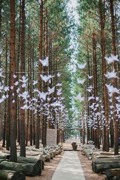 an image of trees and benches in the woods with white paper cranes flying over them