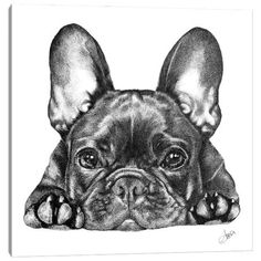 a black and white drawing of a dog's head with its paws on the ground