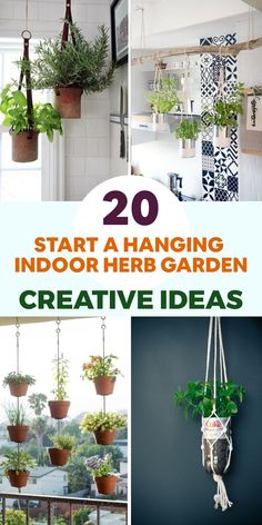 hanging indoor herb garden ideas with text overlay that reads 20 start a hanging indoor herb garden creative ideas