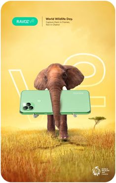 an elephant holding a cell phone in its trunk