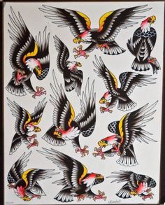 an image of birds with different designs on it's body and wings, all flying together