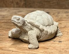 a small white turtle sitting on top of a wooden table