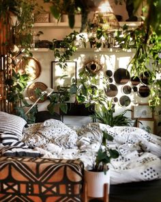 a bed covered in lots of plants next to a wall filled with pictures and mirrors