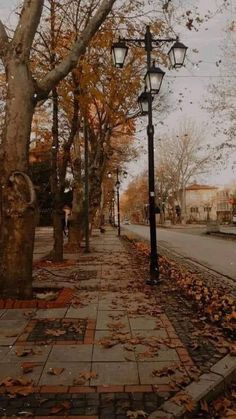 an empty street with leaves on the ground and trees lining the sidewalk in front of it