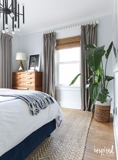 a bedroom with a bed, dresser and plant in the corner on the floor next to the window