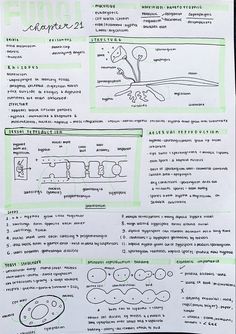 a sheet of paper that has some type of diagram on it with words and pictures