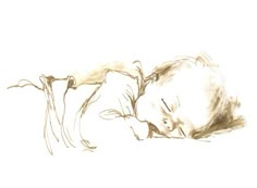 a drawing of a baby sleeping on its side with the name janneke above it