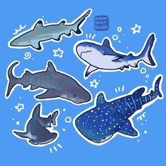 various types of shark stickers on a blue background