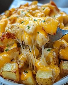 a fork is lifting up some cheesy potatoes