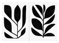 two black and white drawings of leaves