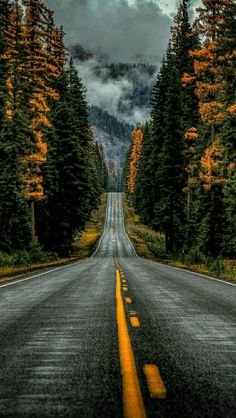 an empty road surrounded by trees with clouds in the background