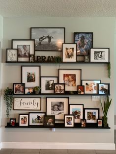 a wall filled with lots of pictures and framed photos next to a potted plant