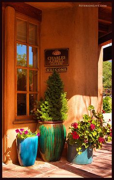 three potted plants sitting outside of a building