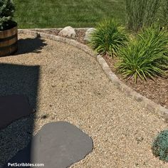 a garden with gravel and plants in the background