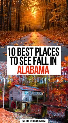 10 Best Places To See Fall in Alabama North Alabama Things To Do In, Fall In Alabama, Day Trips In Alabama, Alabama Travel Guide, Alabama Travel Places To Visit, Alabama State Parks, Desoto Falls Alabama, Waterfalls In Alabama, Camping In Alabama