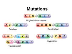 an image of some type of words that are written in different colors and font styles