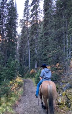 a woman riding on the back of a brown horse down a dirt road surrounded by trees