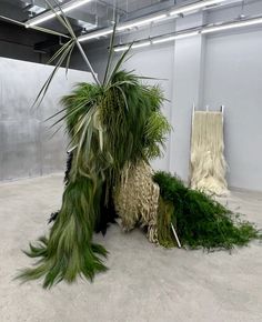 an arrangement of plants and rugs on display in a large room with white walls