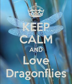 a dragonfly sitting on top of a plant with the words keep calm and love dragonflies