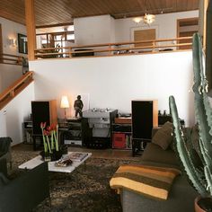 a living room filled with furniture and a tall cactus in the middle of the room