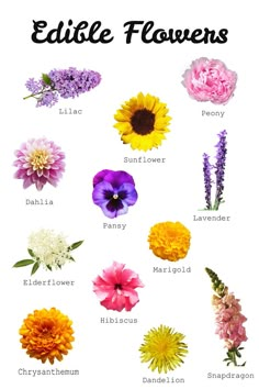 an image of flowers that are edible in different colors and sizes, with the words edible flowers