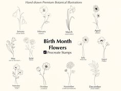 a bunch of flowers that are drawn in different styles and sizes with the words birth month flowers