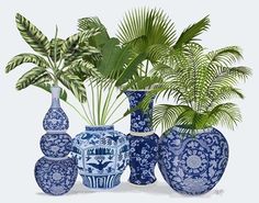 a group of blue and white vases sitting next to each other with plants in them