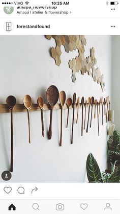 wooden spoons are lined up on a wall next to a potted houseplant