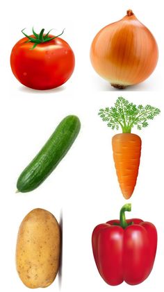 four different types of vegetables on a white background