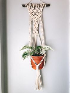 a macrame plant hanging on the wall with a potted plant in it