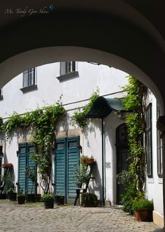 an arch leading into a building with potted plants on the outside and green doors