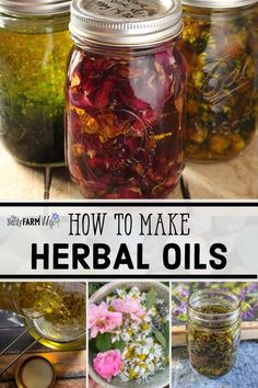 Herbal Oil Recipes, Herb Knowledge, Infused Oil Recipes, Herb Magick, Medical Plants, Natural Medicines, Herbal Oils, Herbal Health, Herbal Medicine Recipes