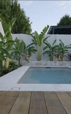 an empty swimming pool in the middle of a wooden decked area surrounded by greenery